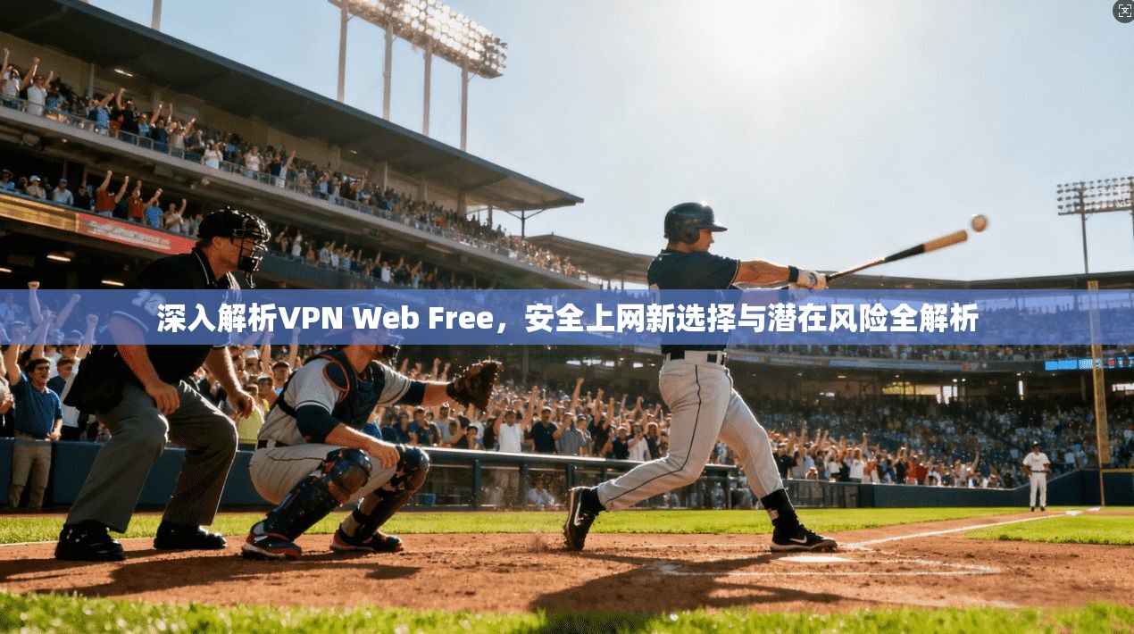 深入解析VPN Web Free，安全上网新选择与潜在风险全解析