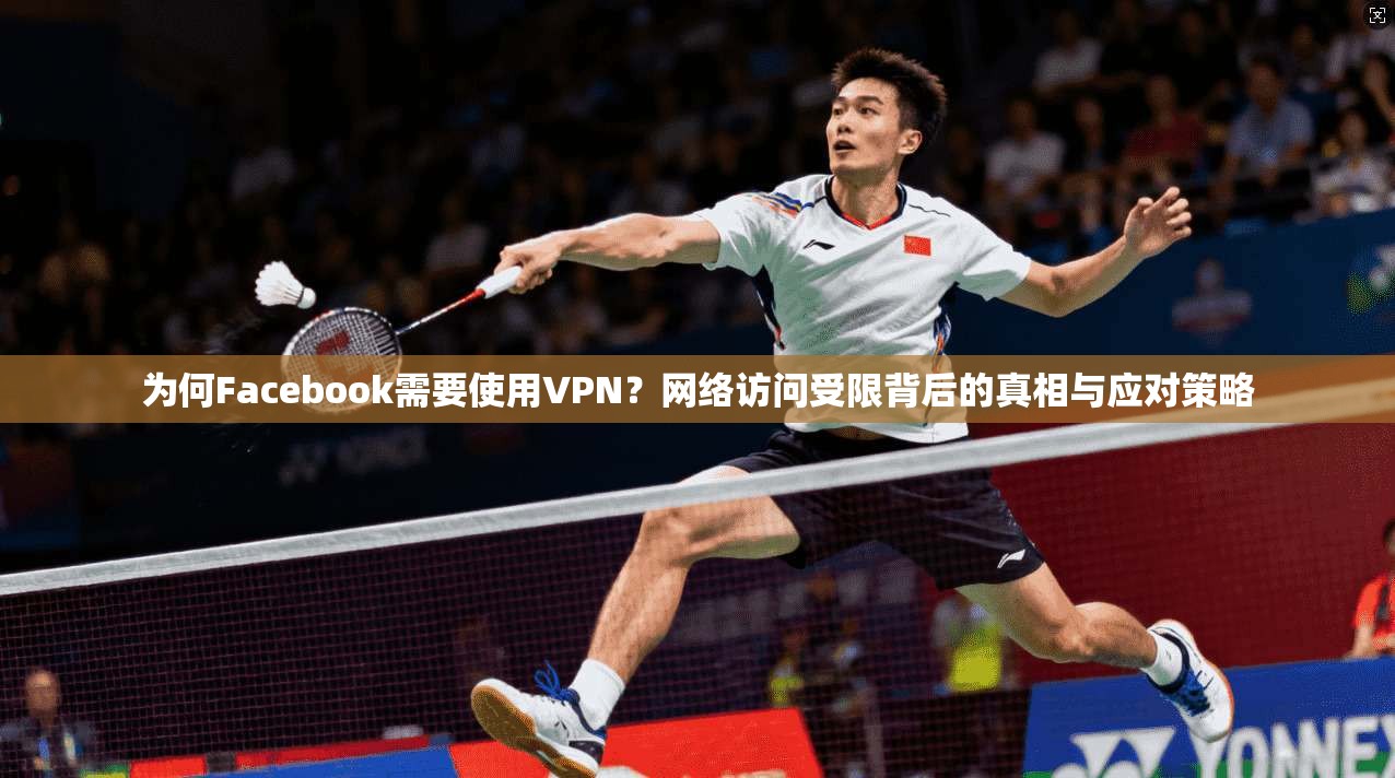 为何Facebook需要使用VPN？网络访问受限背后的真相与应对策略