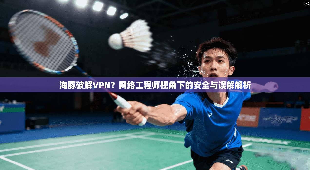 海豚破解VPN？网络工程师视角下的安全与误解解析