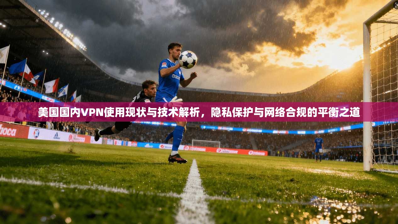 美国国内VPN使用现状与技术解析，隐私保护与网络合规的平衡之道