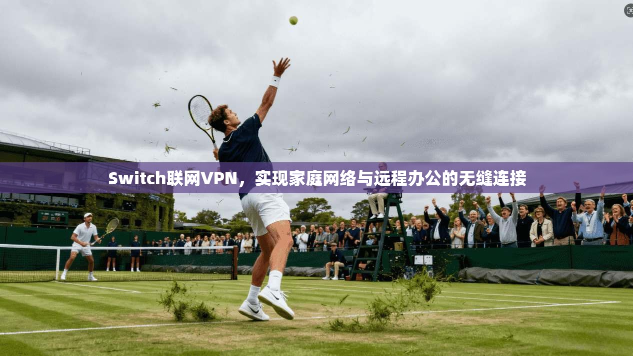 Switch联网VPN，实现家庭网络与远程办公的无缝连接
