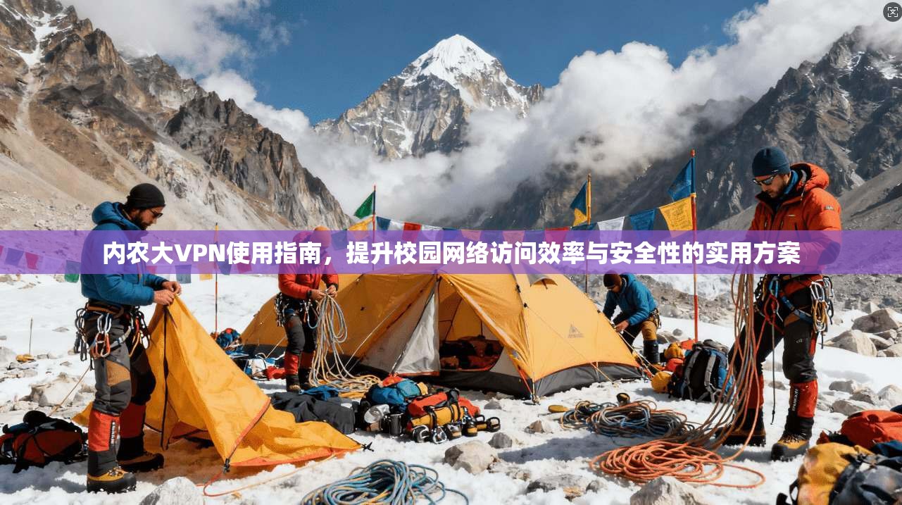 内农大VPN使用指南，提升校园网络访问效率与安全性的实用方案