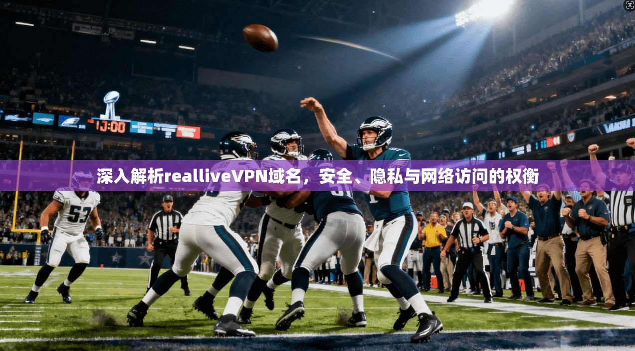 深入解析realliveVPN域名，安全、隐私与网络访问的权衡