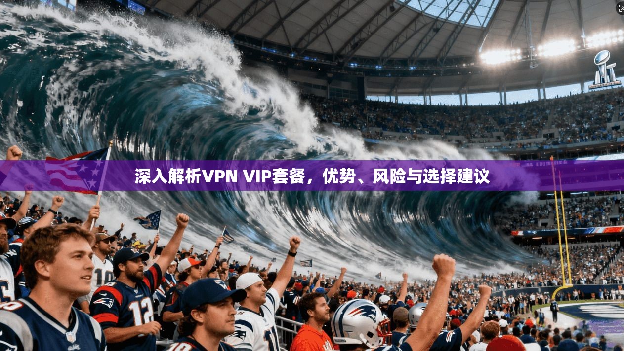 深入解析VPN VIP套餐，优势、风险与选择建议