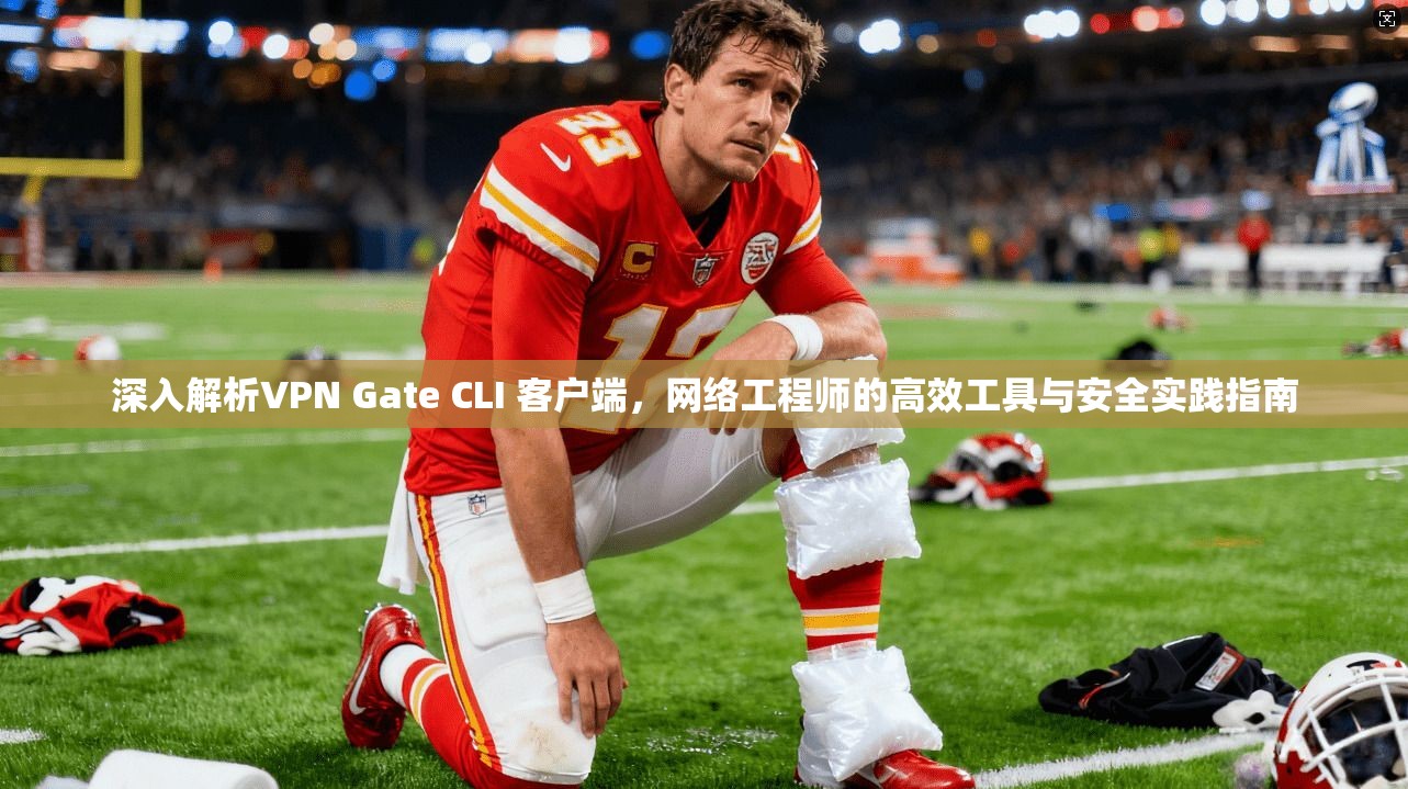 深入解析VPN Gate CLI 客户端，网络工程师的高效工具与安全实践指南