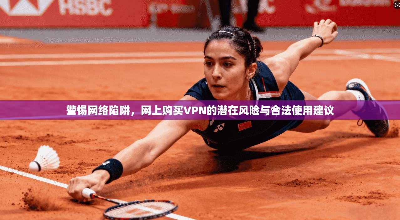 警惕网络陷阱，网上购买VPN的潜在风险与合法使用建议
