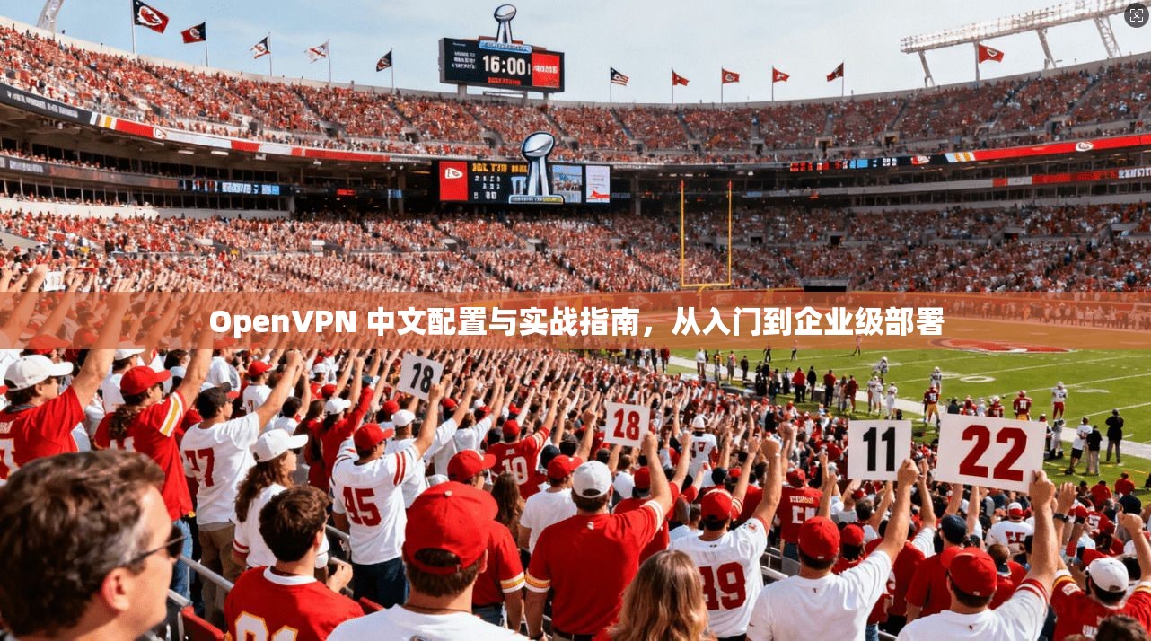 OpenVPN 中文配置与实战指南，从入门到企业级部署