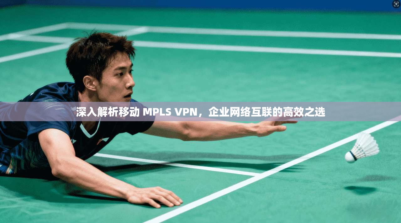 深入解析移动 MPLS VPN,企业网络互联的高效之选