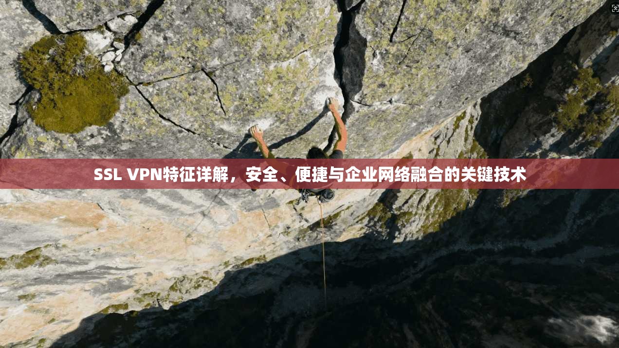 SSL VPN特征详解，安全、便捷与企业网络融合的关键技术