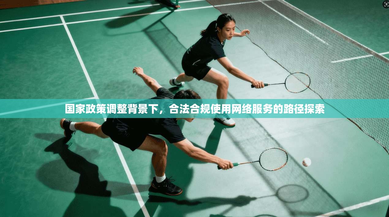 国家政策调整背景下，合法合规使用网络服务的路径探索