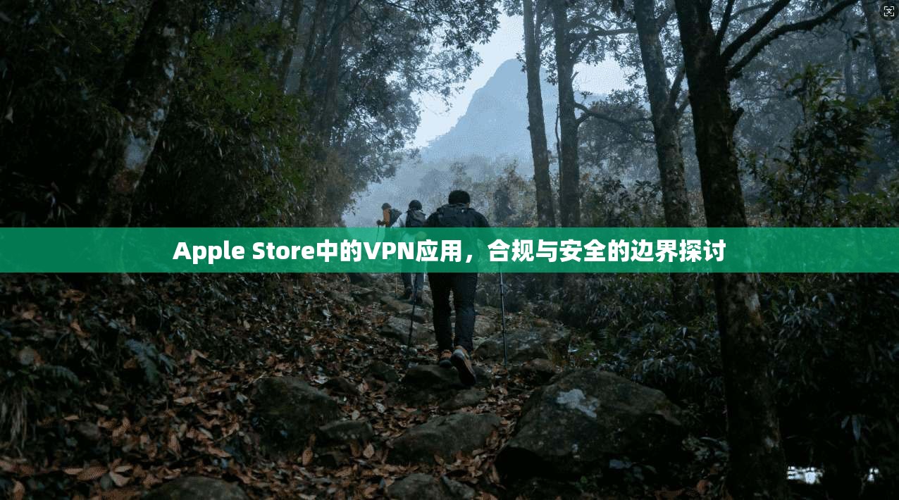 Apple Store中的VPN应用,合规与安全的边界探讨