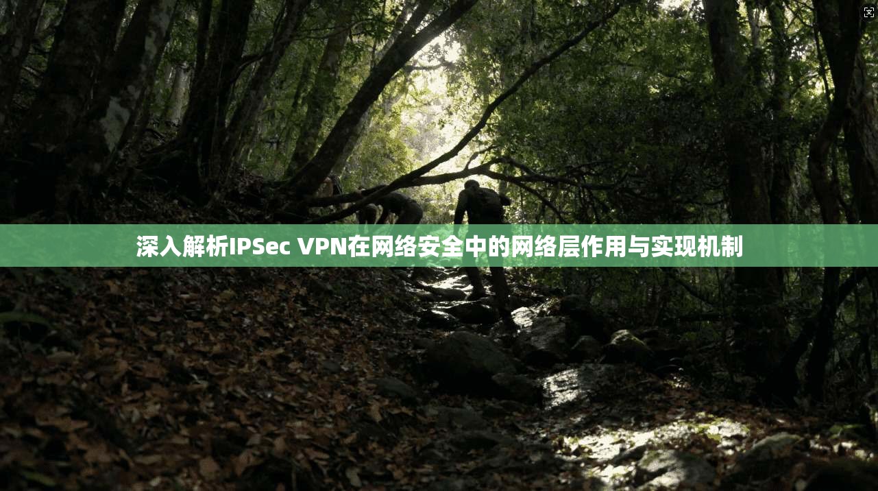 深入解析IPSec VPN在网络安全中的网络层作用与实现机制