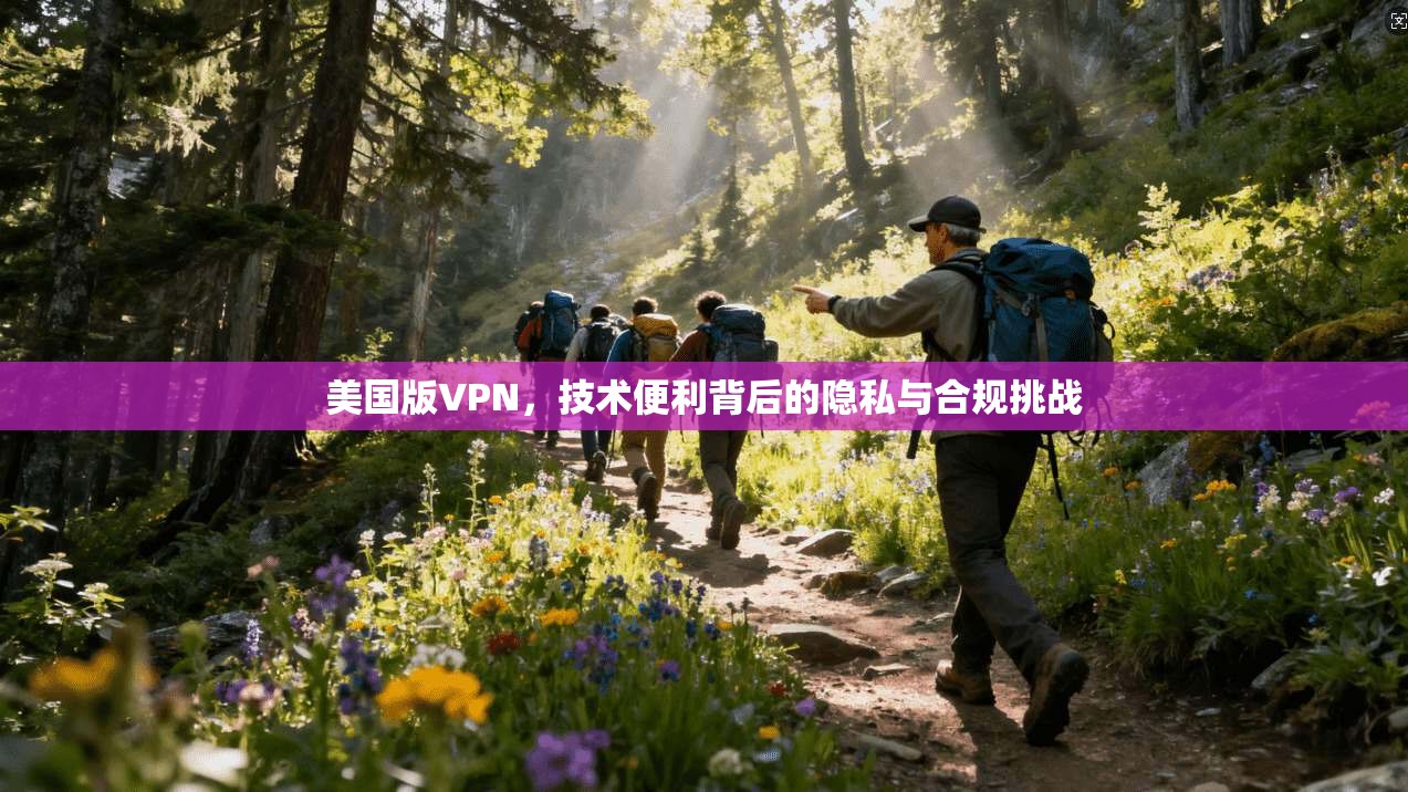美国版VPN,技术便利背后的隐私与合规挑战