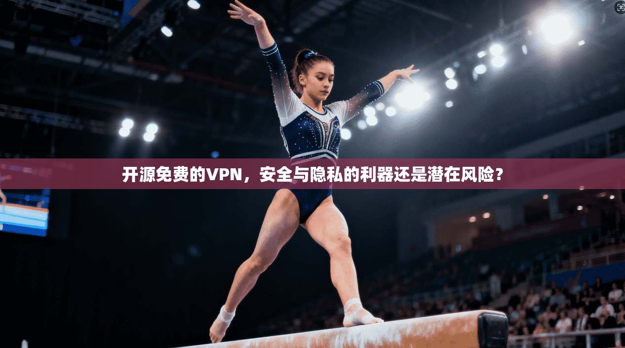 开源免费的VPN,安全与隐私的利器还是潜在风险?