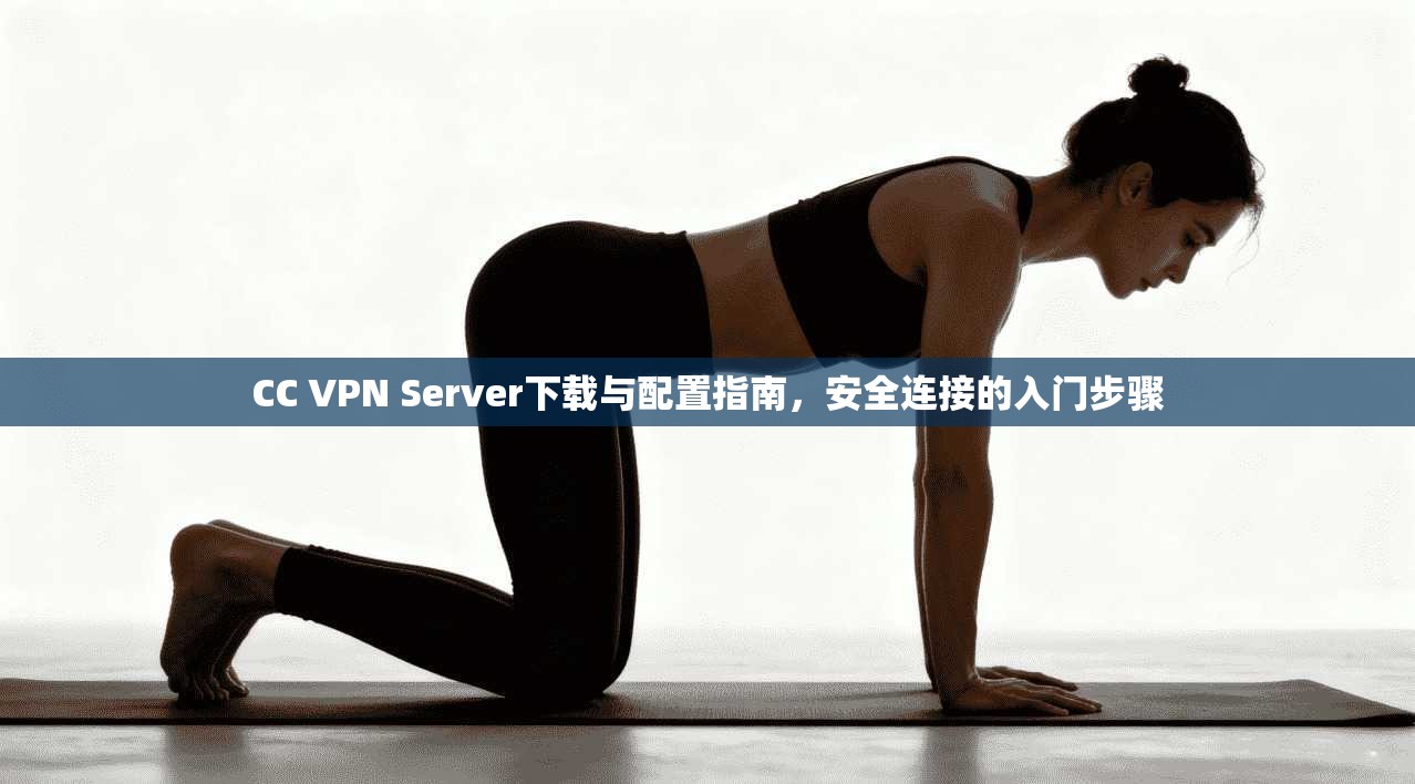 CC VPN Server下载与配置指南,安全连接的入门步骤