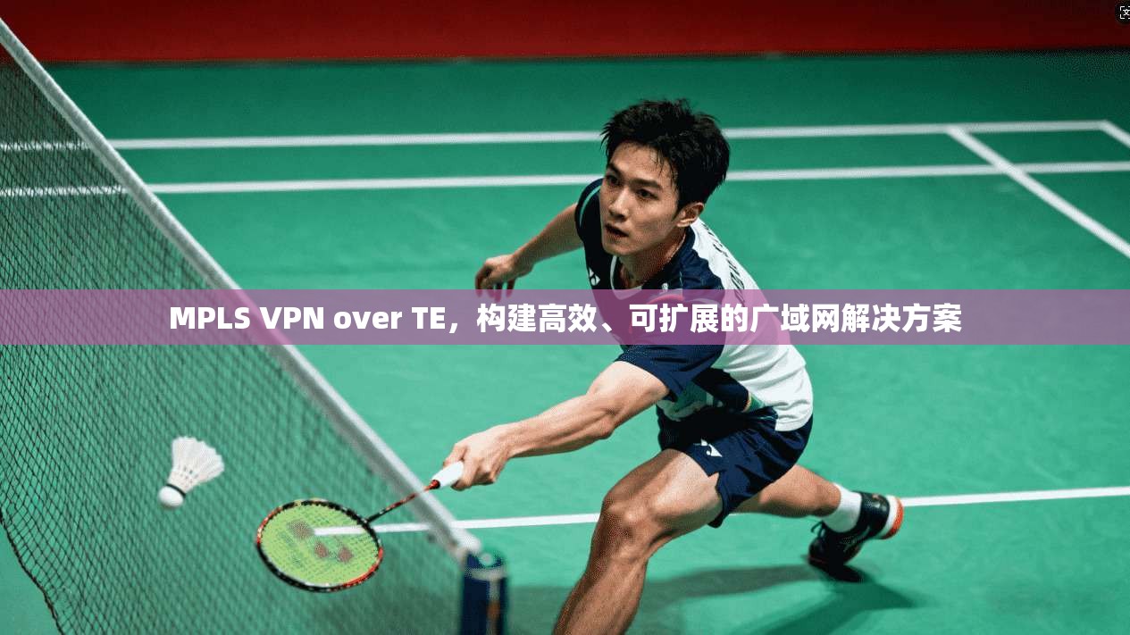 MPLS VPN over TE,构建高效、可扩展的广域网解决方案