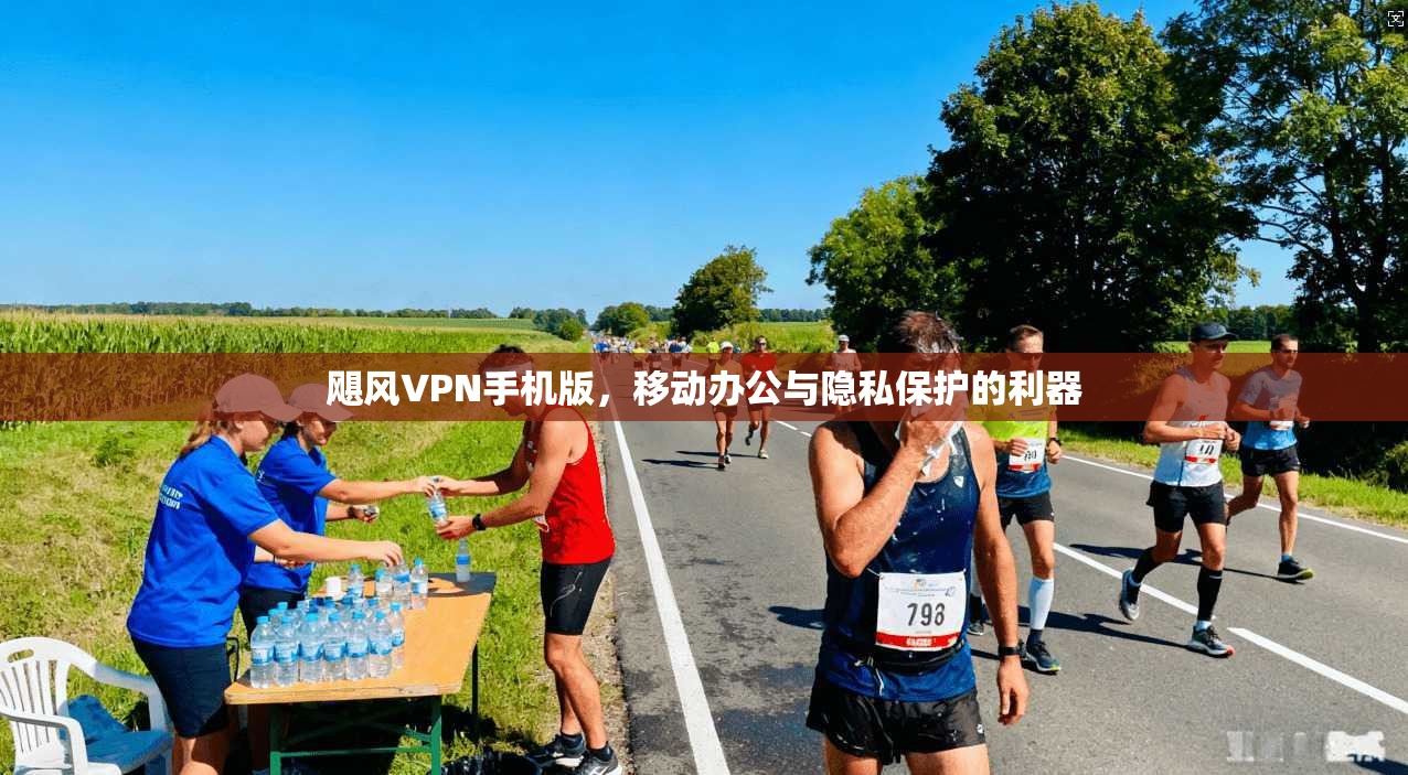 飓风VPN手机版，移动办公与隐私保护的利器