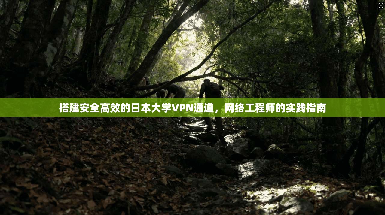 搭建安全高效的日本大学VPN通道，网络工程师的实践指南