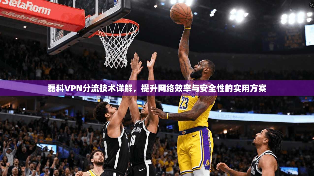 磊科VPN分流技术详解，提升网络效率与安全性的实用方案