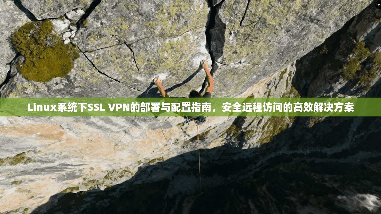 Linux系统下SSL VPN的部署与配置指南，安全远程访问的高效解决方案