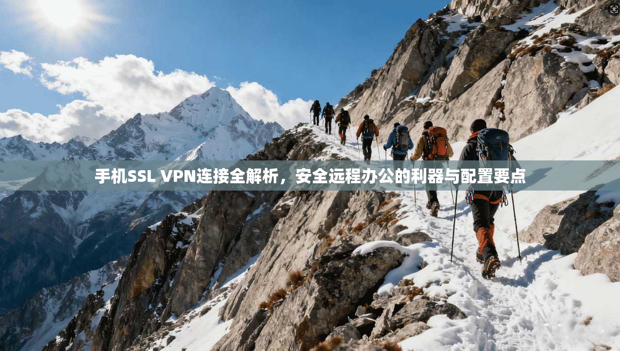 手机SSL VPN连接全解析,安全远程办公的利器与配置要点