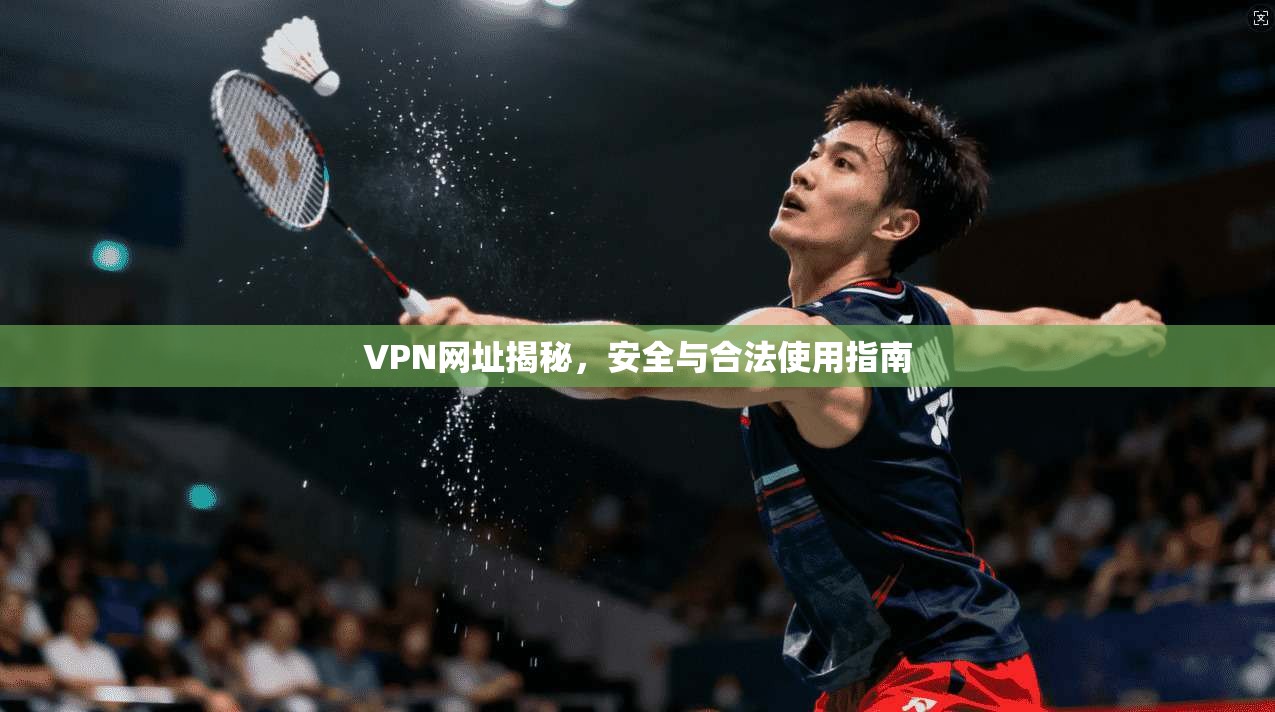 VPN网址揭秘，安全与合法使用指南