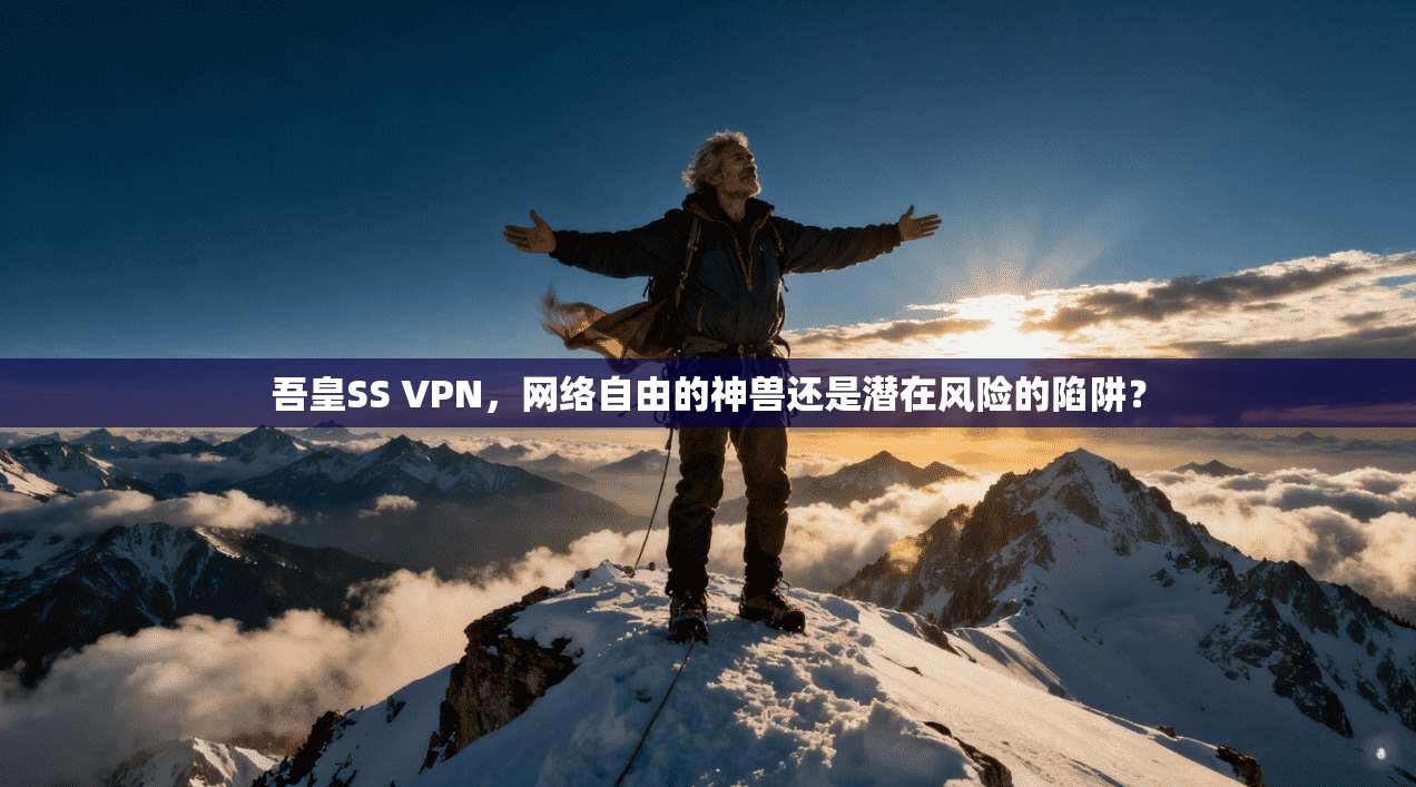 吾皇SS VPN,网络自由的神兽还是潜在风险的陷阱?