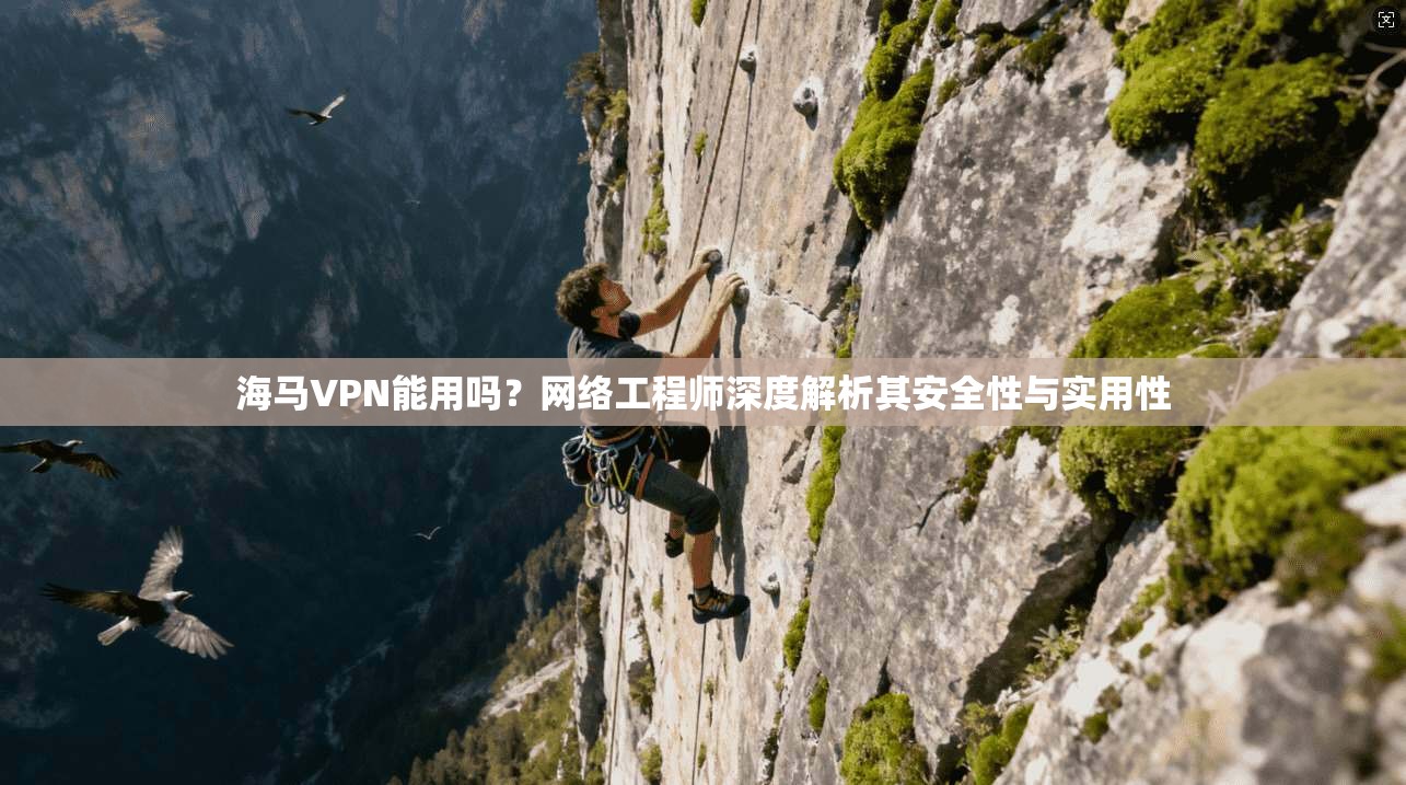 海马VPN能用吗?网络工程师深度解析其安全性与实用性