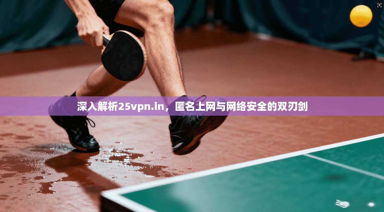 深入解析25vpn.in,匿名上网与网络安全的双刃剑