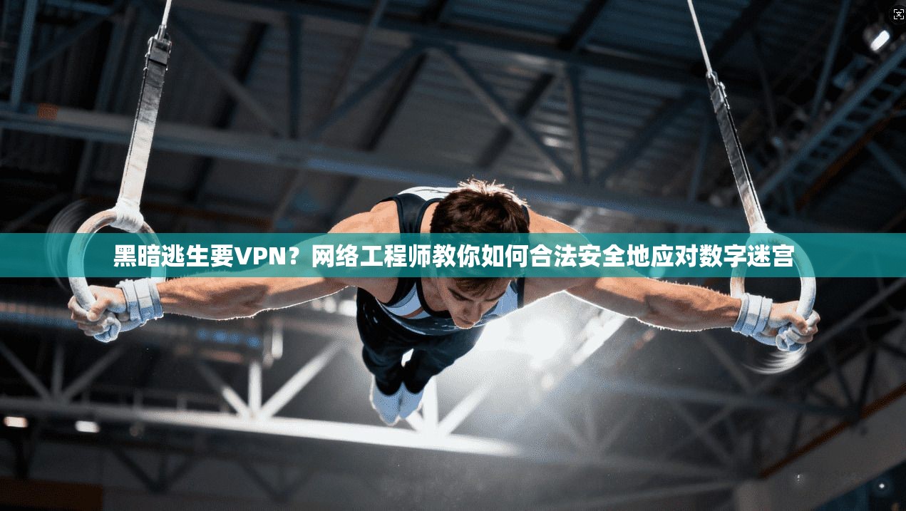 黑暗逃生要VPN？网络工程师教你如何合法安全地应对数字迷宫