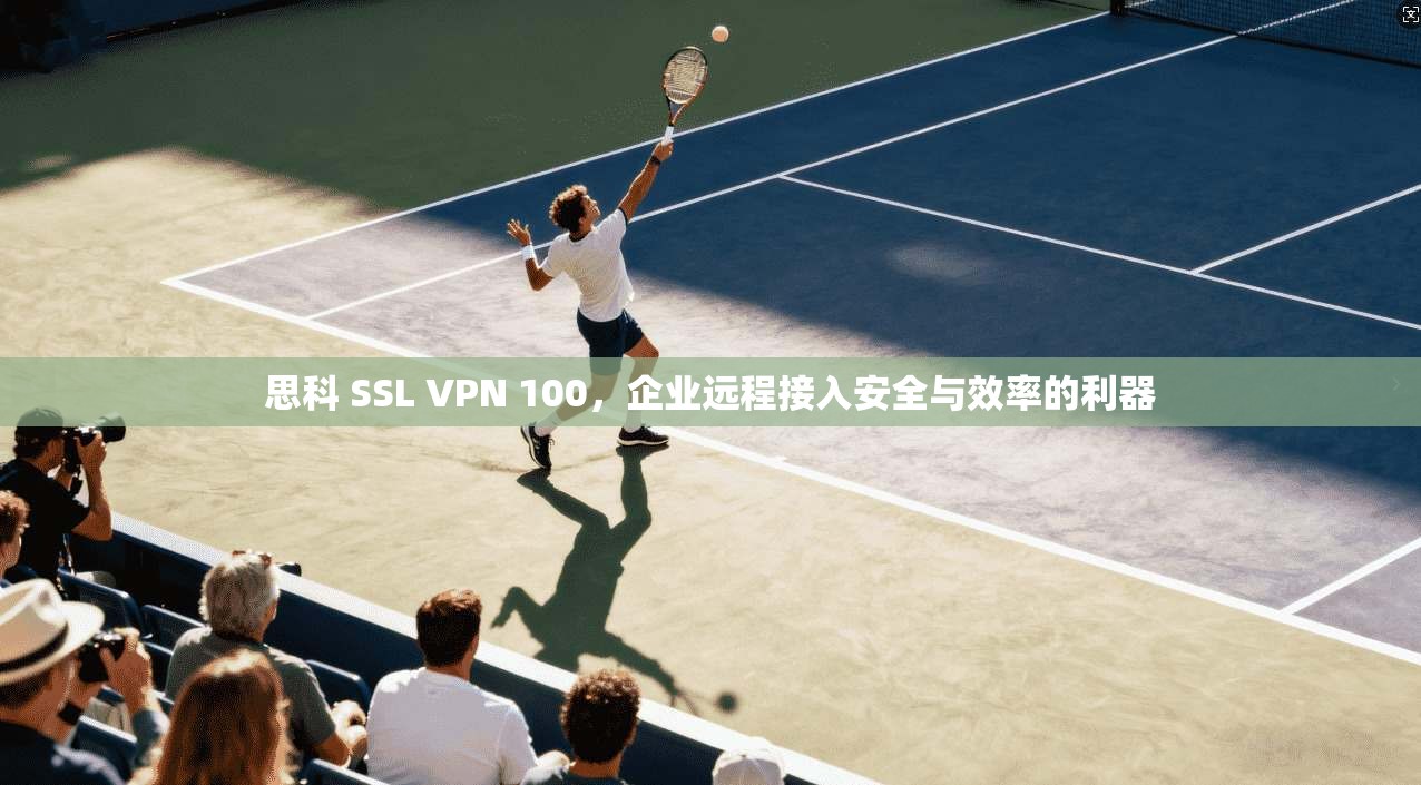 思科 SSL VPN 100,企业远程接入安全与效率的利器
