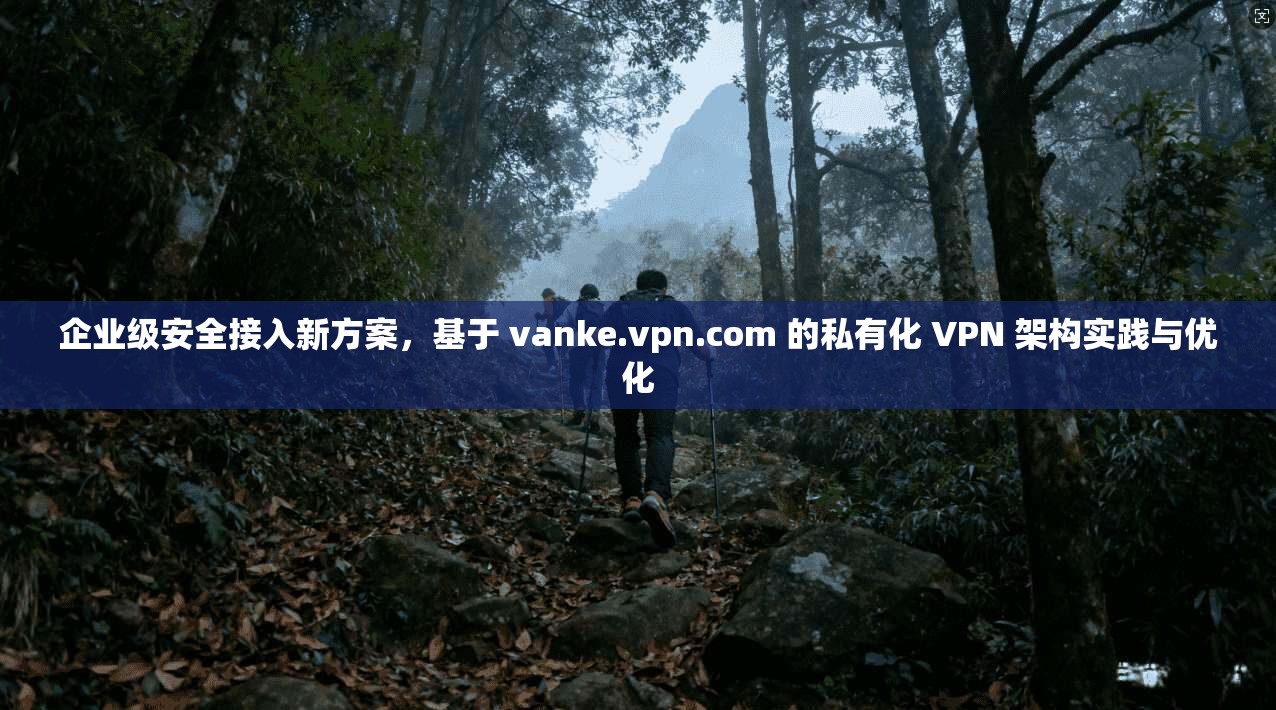 企业级安全接入新方案，基于 vanke.vpn.com 的私有化 VPN 架构实践与优化