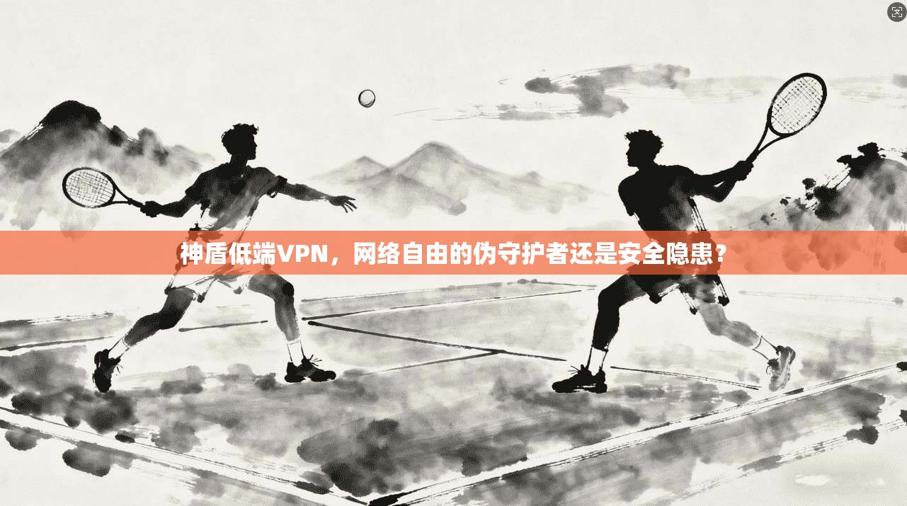 神盾低端VPN，网络自由的伪守护者还是安全隐患？