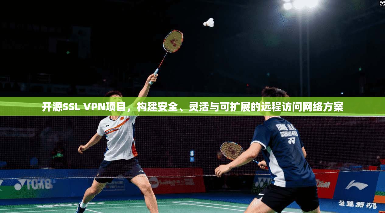 开源SSL VPN项目,构建安全、灵活与可扩展的远程访问网络方案