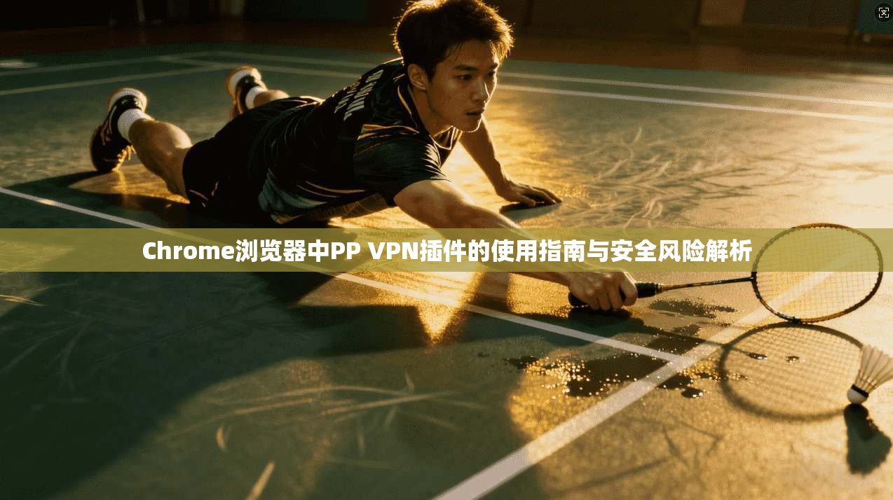 Chrome浏览器中PP VPN插件的使用指南与安全风险解析 Chrome浏览器中PP VPN插件的使用指南与安全风险解析
