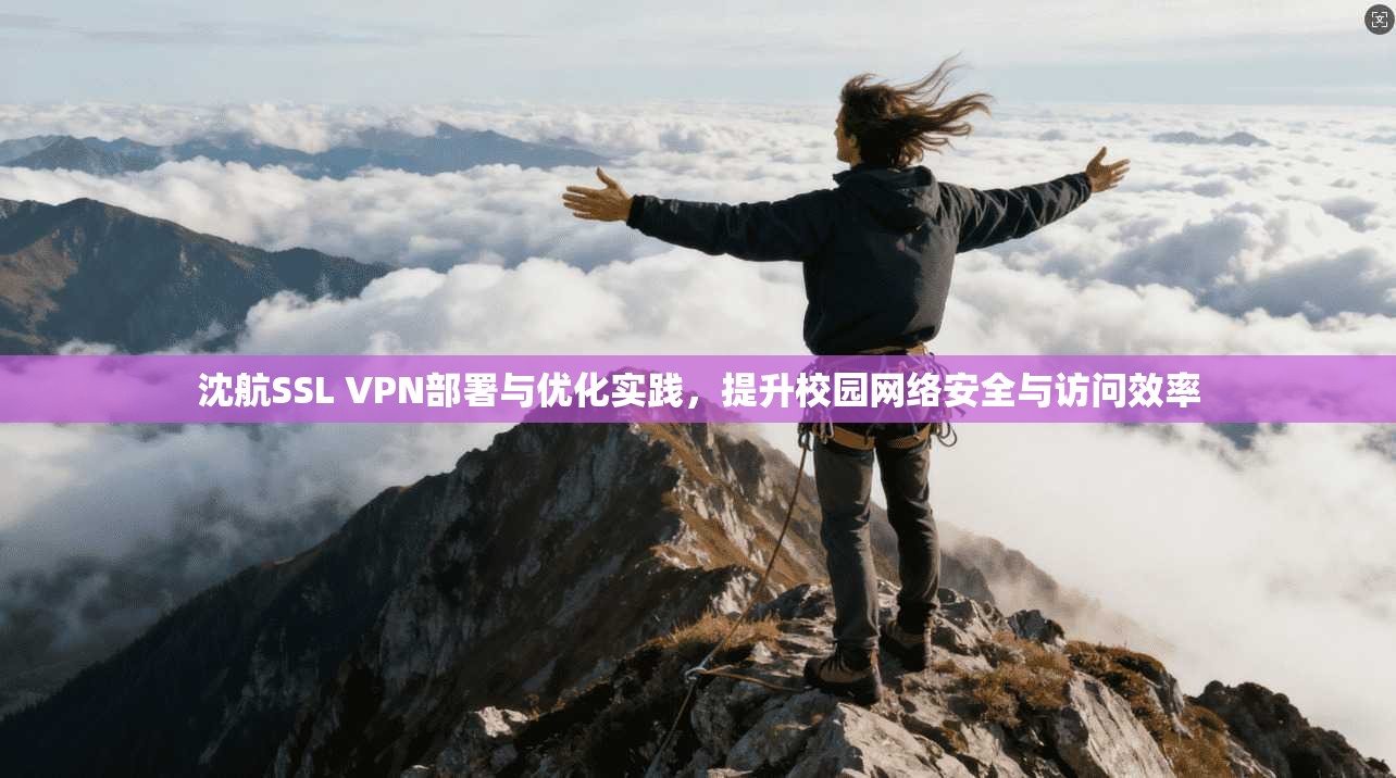 沈航SSL VPN部署与优化实践,提升校园网络安全与访问效率