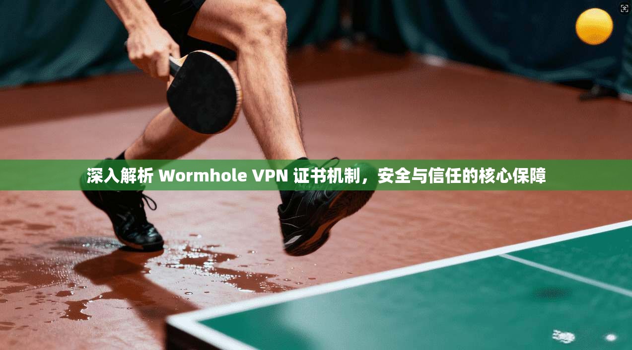 深入解析 Wormhole VPN 证书机制，安全与信任的核心保障