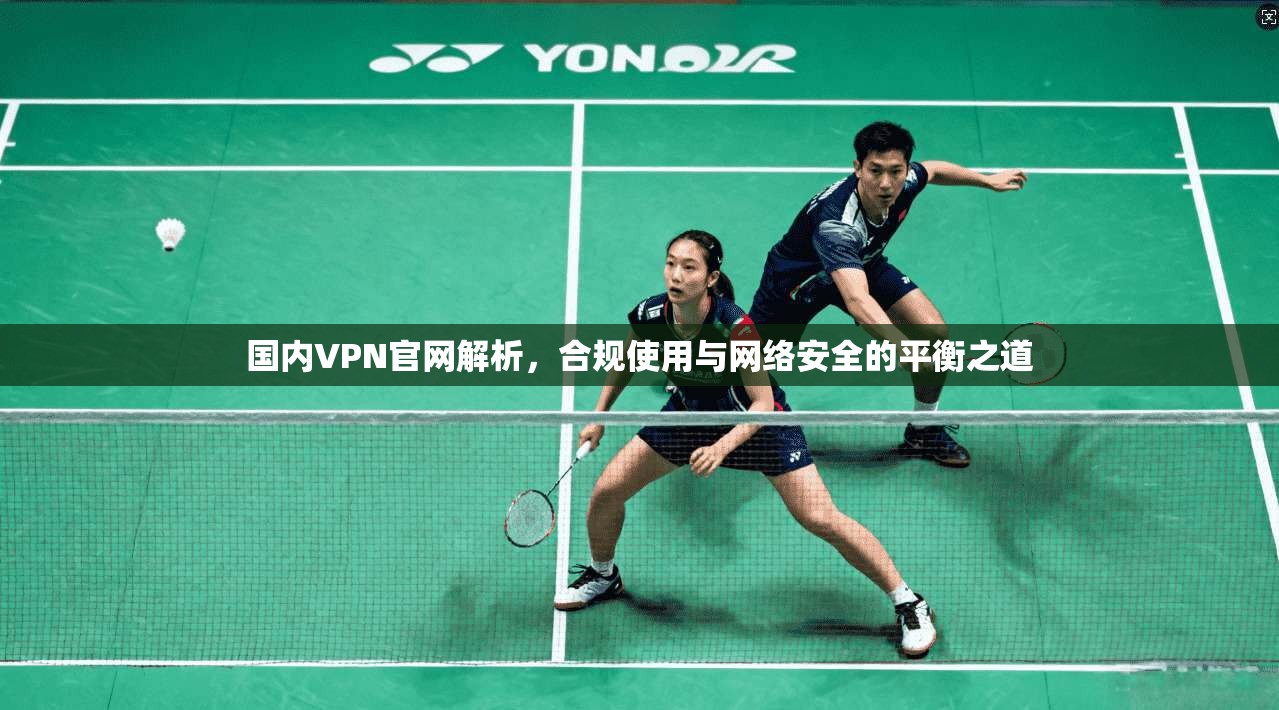 国内VPN官网解析，合规使用与网络安全的平衡之道