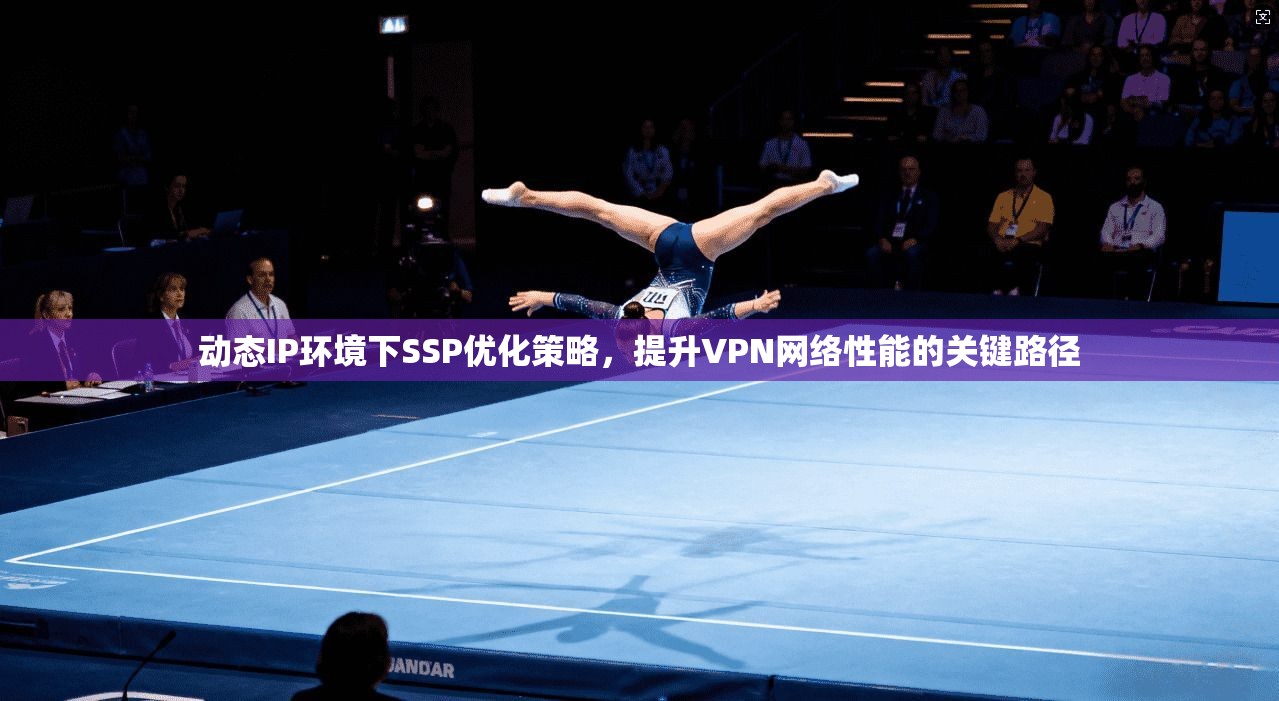 动态IP环境下SSP优化策略,提升VPN网络性能的关键路径