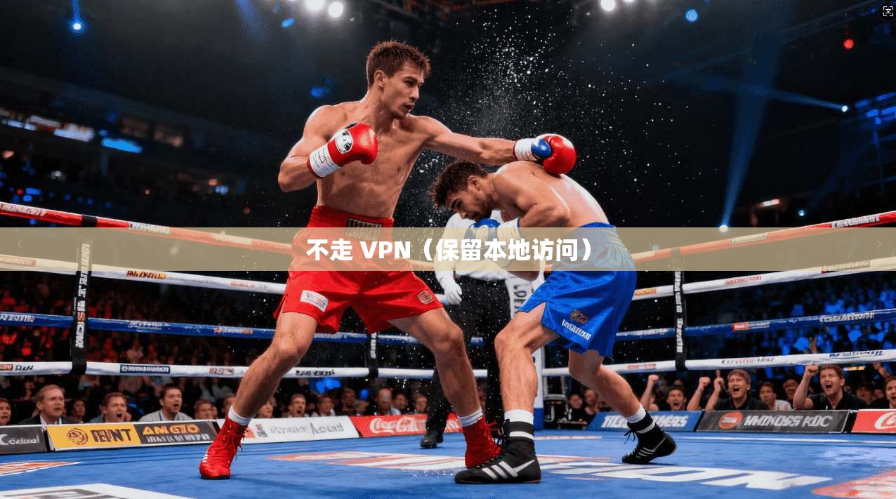 不走 VPN(保留本地访问)