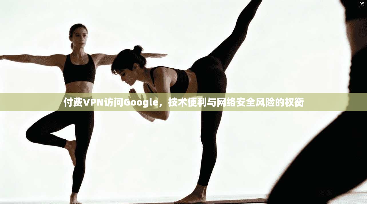 付费VPN访问Google，技术便利与网络安全风险的权衡