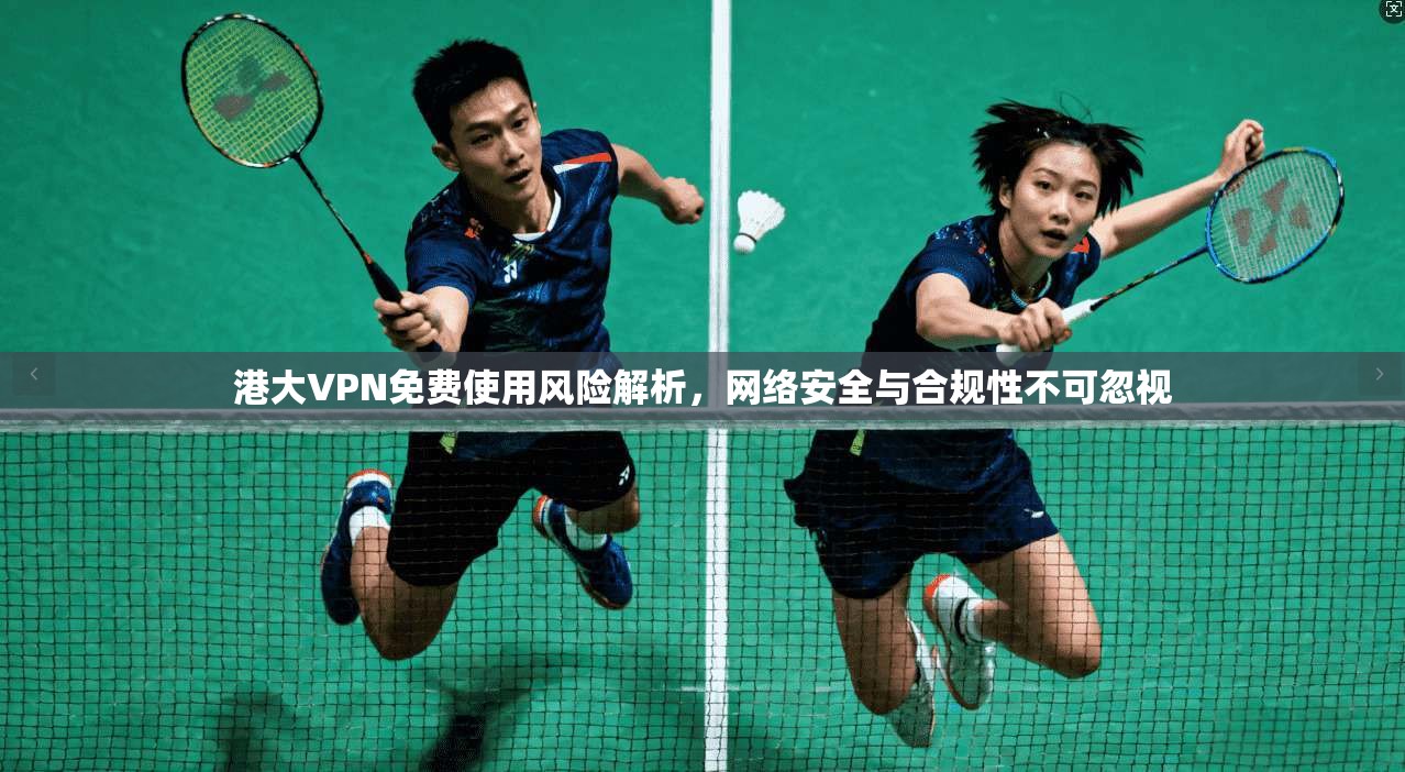 港大VPN免费使用风险解析，网络安全与合规性不可忽视