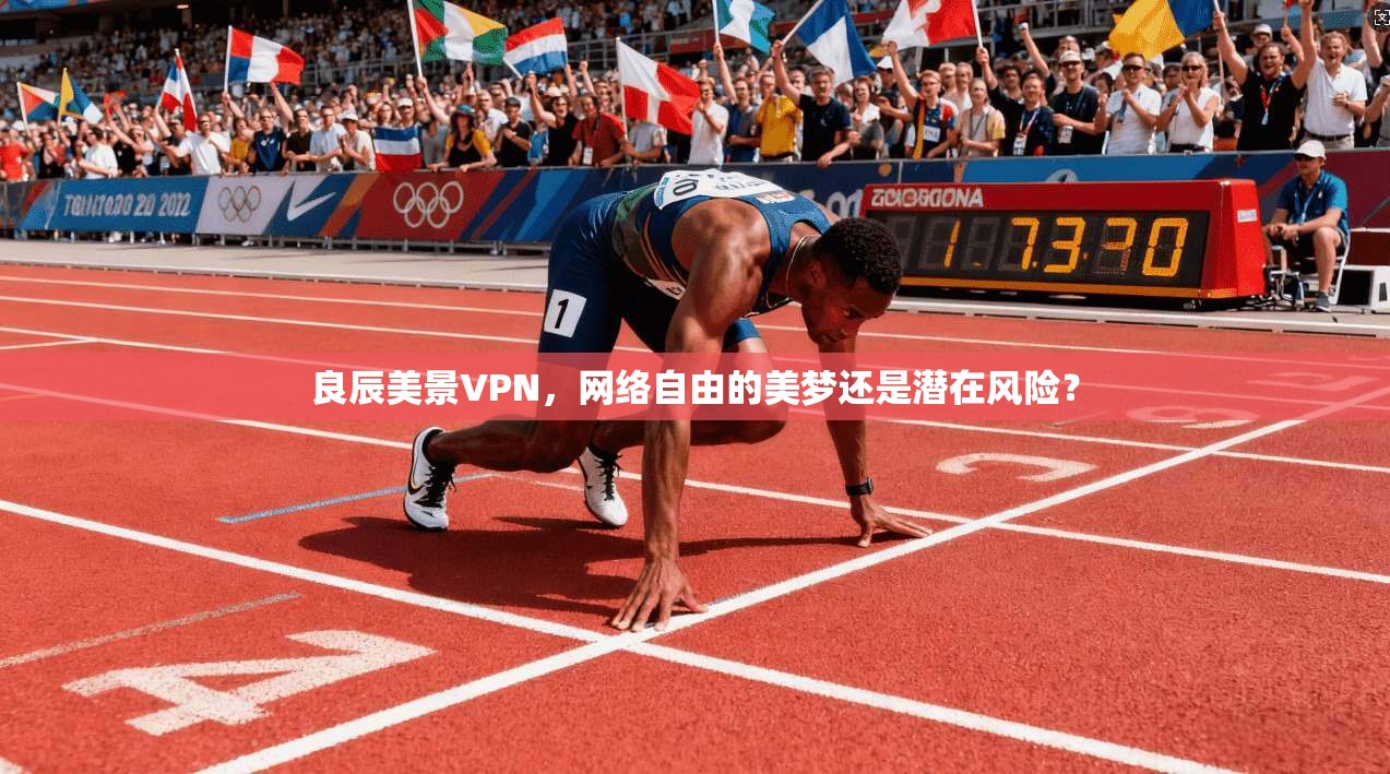 良辰美景VPN,网络自由的美梦还是潜在风险?