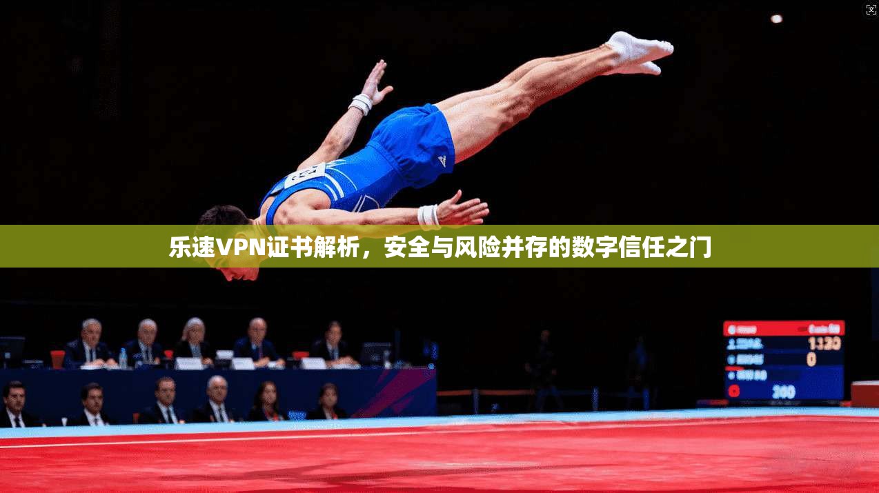 乐速VPN证书解析,安全与风险并存的数字信任之门