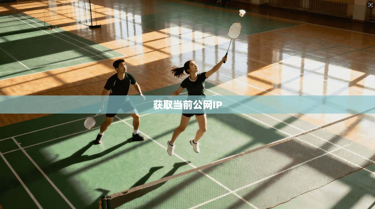 获取当前公网IP 获取当前公网IP
