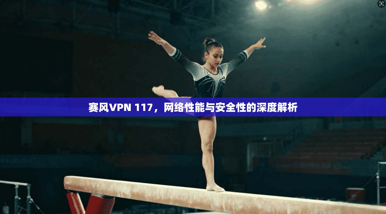 赛风VPN 117，网络性能与安全性的深度解析