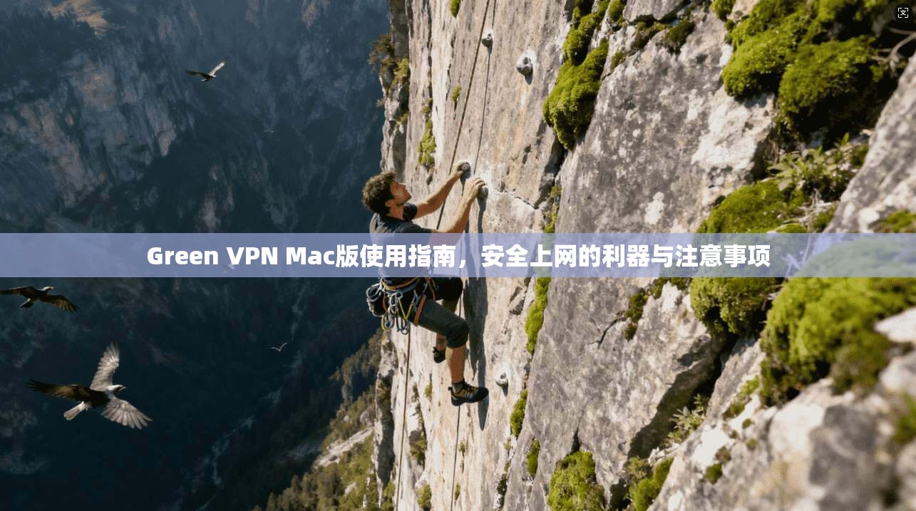 Green VPN Mac版使用指南，安全上网的利器与注意事项
