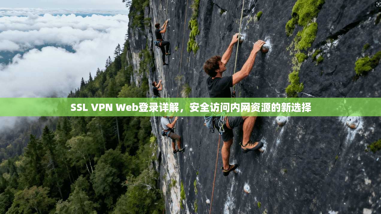 SSL VPN Web登录详解，安全访问内网资源的新选择