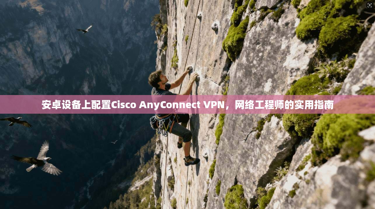安卓设备上配置Cisco AnyConnect VPN，网络工程师的实用指南