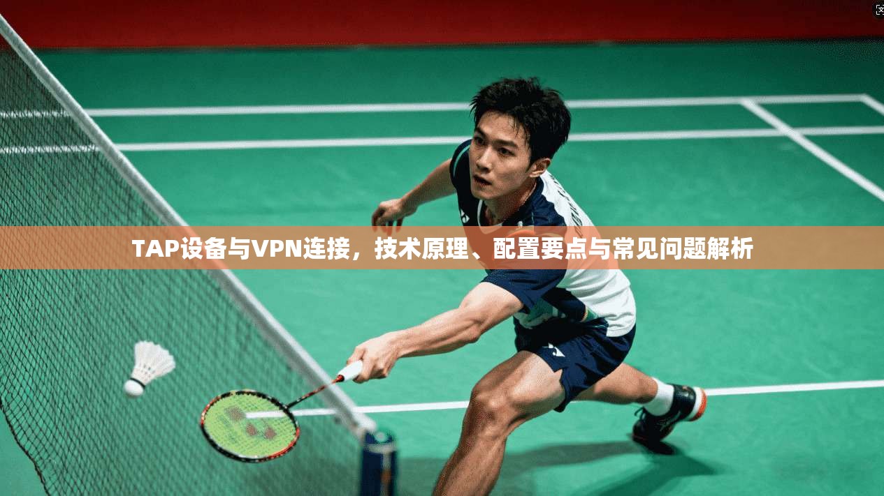 TAP设备与VPN连接,技术原理、配置要点与常见问题解析 TAP设备与VPN连接,技术原理、配置要点与常见问题解析